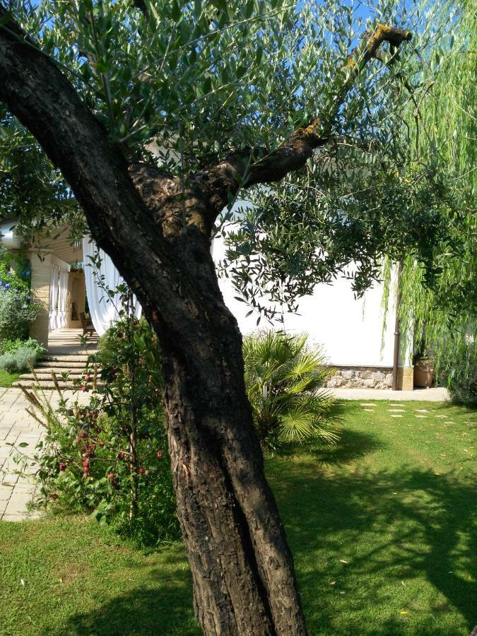 I Salici Villa Marina di Massa Buitenkant foto